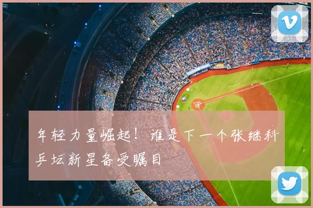 年轻力量崛起！谁是下一个张继科乒坛新星备受瞩目