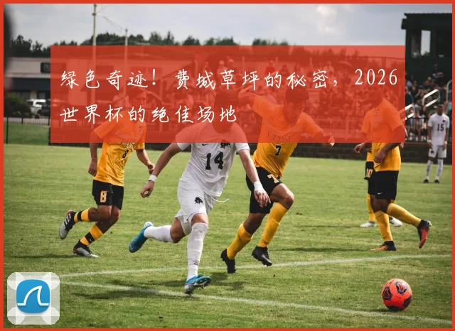 绿色奇迹！费城草坪的秘密，2026世界杯的绝佳场地