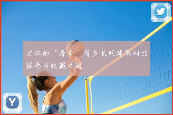 奖杯的“寿命”有多长网球器材的保养与收藏之道