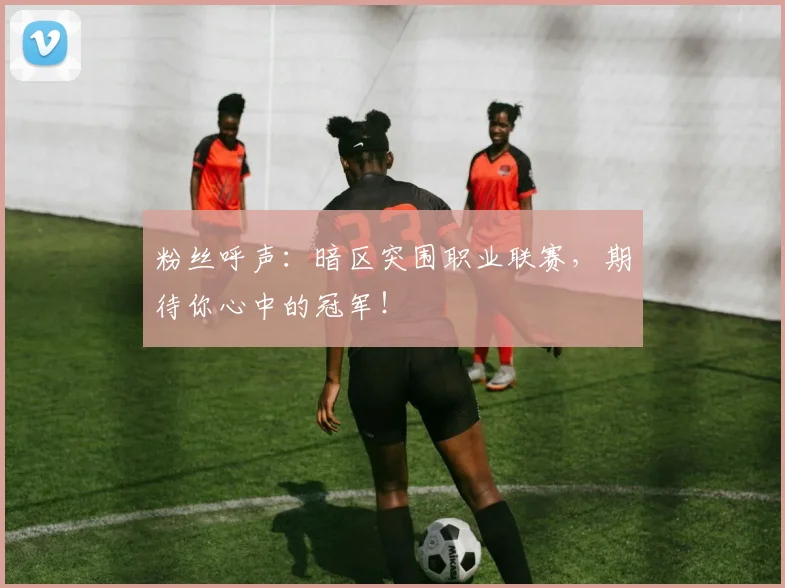 粉丝呼声：暗区突围职业联赛，期待你心中的冠军！