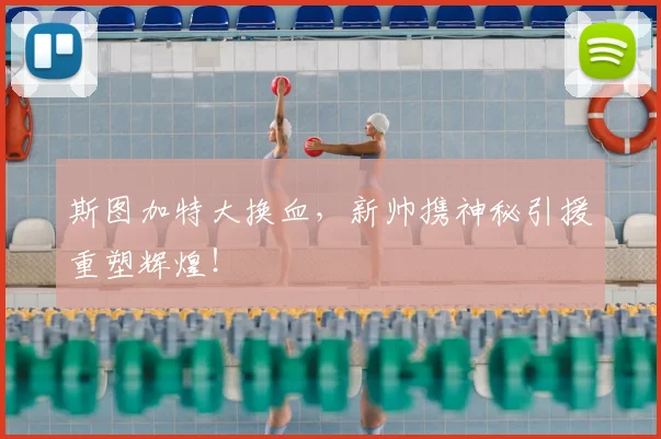 斯图加特大换血,新帅携神秘引援重塑辉煌!